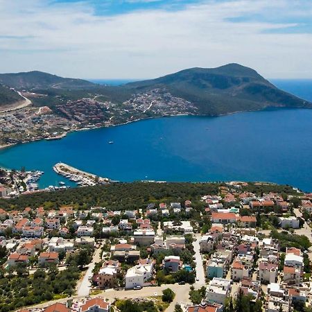 Yigit Apart Kalkan Bagian luar foto